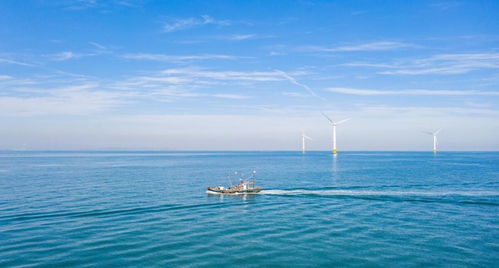 中國(guó)海上風(fēng)電再次領(lǐng)先 40層樓高風(fēng)力發(fā)電機(jī)，一臺(tái)轉(zhuǎn)動(dòng)創(chuàng)造4億元陸路國(guó)際貨運(yùn)業(yè)務(wù)