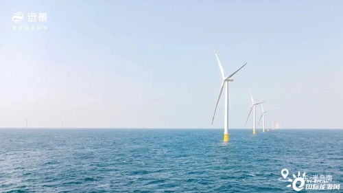 山東首次實現(xiàn)海上風電航空應用發(fā)電