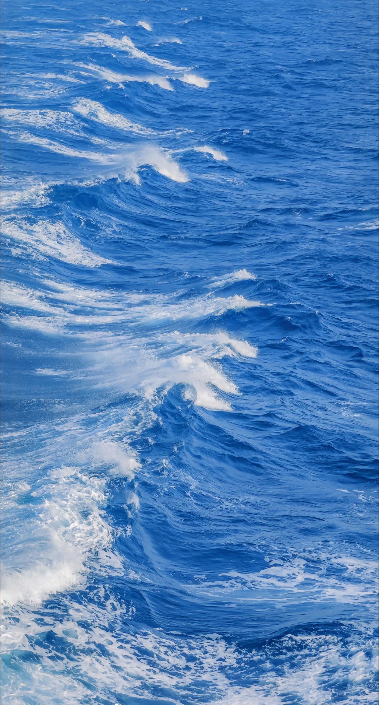 海上漂，心飛揚——探索陸路國際貨運代理業務的獨特魅力