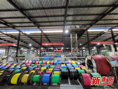 衡陽輸變電產業強勢崛起 產業規模國內前列，產品創多項世界第一